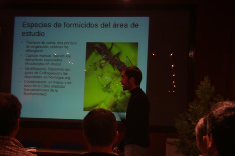 Imagen 015 (Medium)